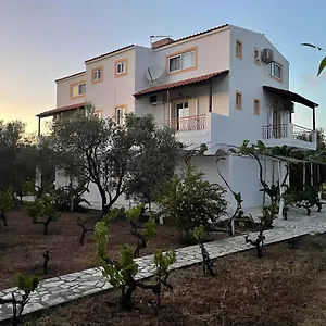 Andreas , Svoronata Grecia